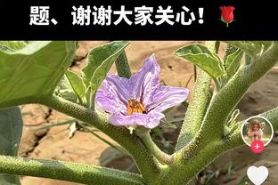 欧冠-莱比锡2-1年轻人小组第二4胜2负收官 福斯贝里塞斯科破门